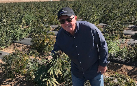 Safe, Pure CBD Hemp Oil Extract in Our Topical Natural Cream